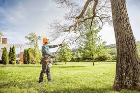 Best Tree Disease Treatment  in Thomaston, NY